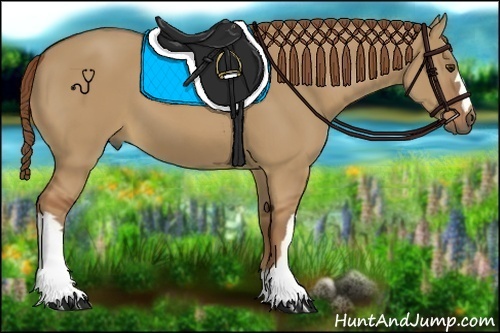 Horse Color:Red Dun 