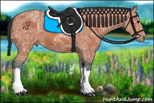 Horse Color:Bay Ice 