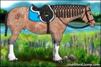 Horse Color:Bay Ice 