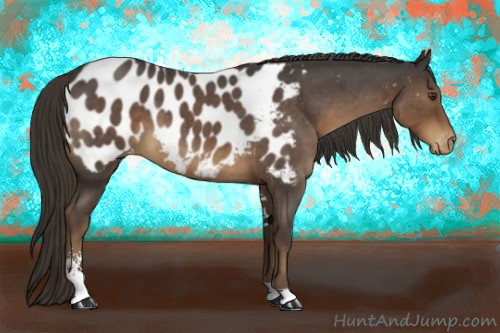 Horse Color:Liver Red Roan Sabino Blanket