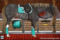 Horse Color:Liver Chestnut Rabicano