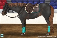 Horse Color:Liver Chestnut Rabicano 