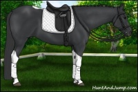 Horse Color:Black Tobiano