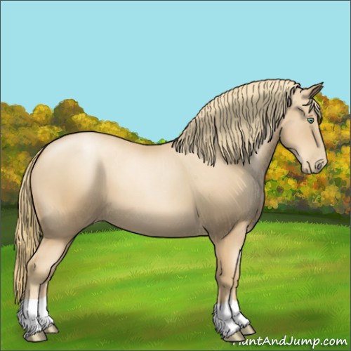 Horse Color:Gold Champagne Pearl 