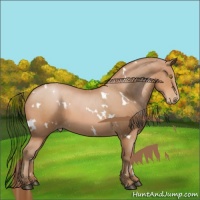 Horse Color:White Spotted Brown Pearl 