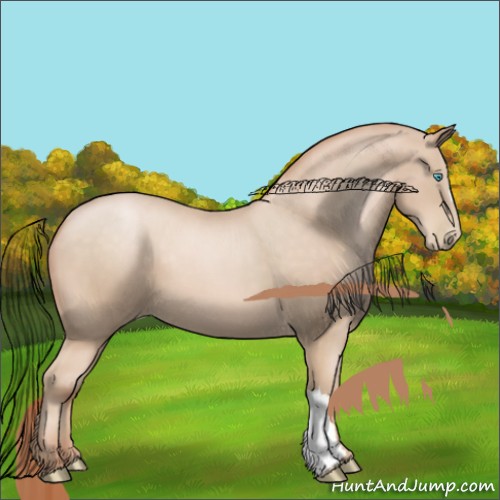Horse Color:Buckskin Pearl 