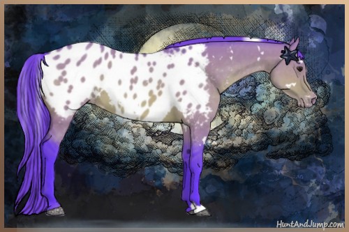 Horse Color:Watercolor White Spotted Brown Dun Appaloosa