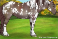 Horse Color:White Spotted Chocolate Black