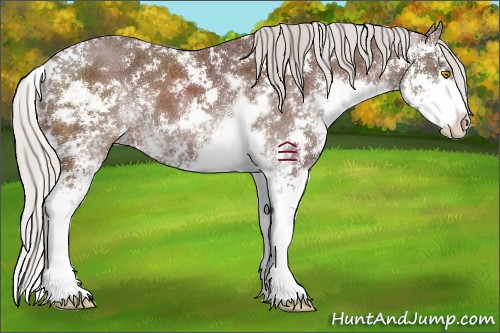 Horse Color:Chocolate Silver Black Sabino 