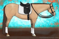 Horse Color:Amber Champagne 