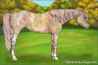 Horse Color:Nacre Silver Brown Ice 