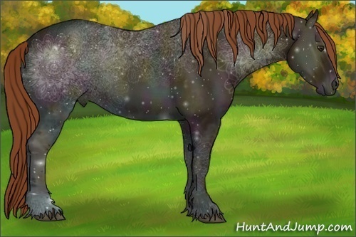 Horse Color:Midnight Red Onyx Ice 