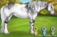 Horse Color:White Spotted Silver Brown Chinchilla Onyx 