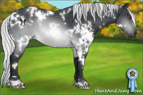 Horse Color:White Spotted Silver Brown Chinchilla 