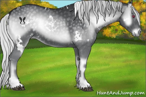 Horse Color:White Spotted Silver Blue Onyx Chinchilla 