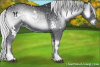 Horse Color:White Spotted Silver Blue Onyx Chinchilla 