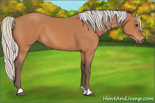 Horse Color:Silver Bay
