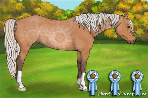 Horse Color:Silver Bay 
