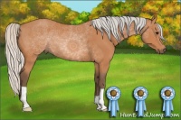 Horse Color:Silver Bay 