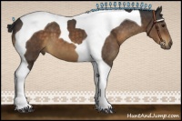 Horse Color:Brown Tobiano