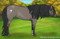 Horse Color:Grullo Sabino 