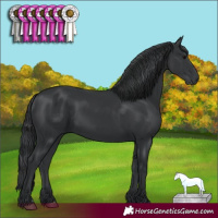 Horse Color:Black 