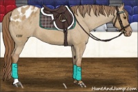 Horse Color:Red Dun Varnish 