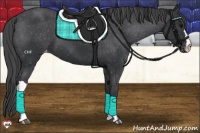 Horse Color:Black Appaloosa