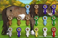 Horse Color:Liver Red Dun Frame 