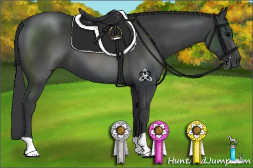 Horse Color:Black 
