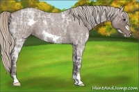Horse Color:Silver Blue Ice Roan Frame 
