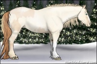 Horse Color:Buckskin Roan Pearl and Buckskin Roan Pearl Dun