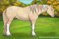 Horse Color:Gold Champagne Ice Dun Tobiano