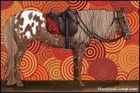 Horse Color:Chestnut Appaloosa 