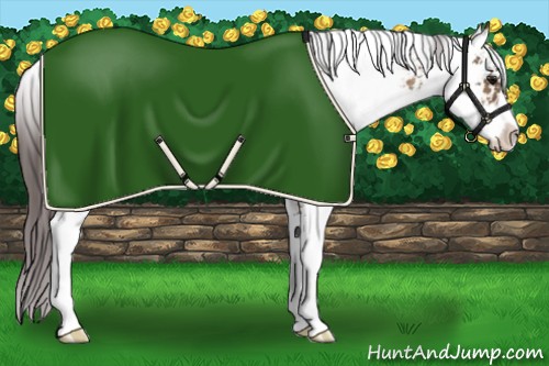 Horse Color:Brown Dun Sabino Blanket