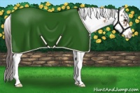 Horse Color:Brown Dun Sabino Blanket 