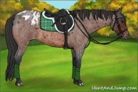 Horse Color:Bay Roan Blanket 