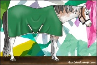 Horse Color:White Spotted Bay Roan Splash