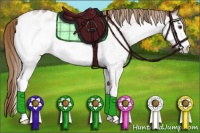 Horse Color:White Spotted Red Roan Blanket