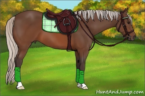 Horse Color:Silver Brown 