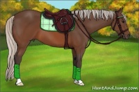 Horse Color:Silver Brown 
