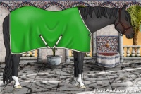 Horse Color:Brown Roan