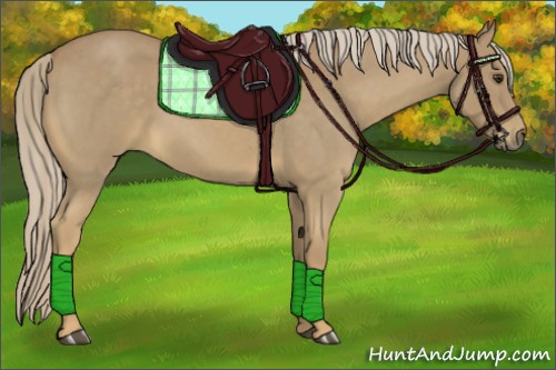 Horse Color:Palomino Roan 