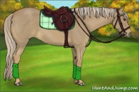 Horse Color:Palomino Roan 