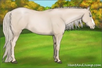 Horse Color:Palomino Pearl 