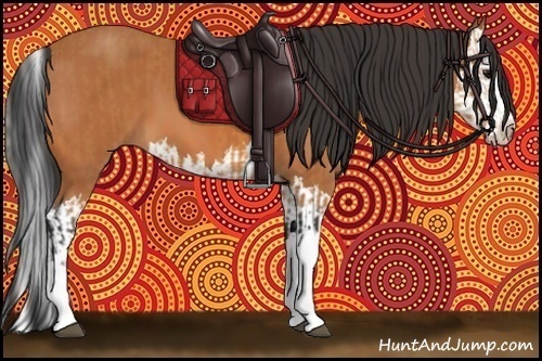 Horse Color:Bay  and Bay Splash 