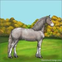 Horse Color:Silver Blue Ice Roan Splash 
