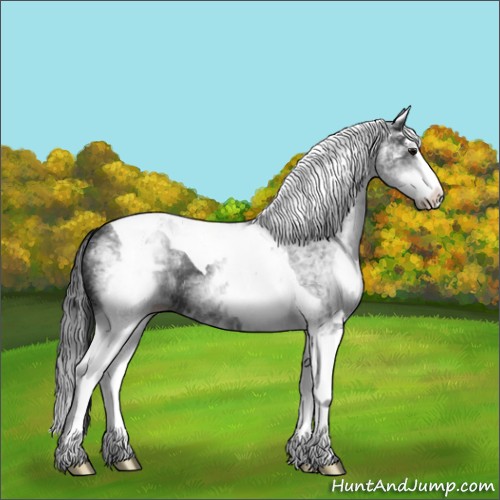 Horse Color:White Spotted Black Splash Tobiano 