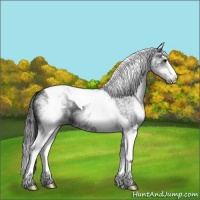 Horse Color:White Spotted Black Splash Tobiano