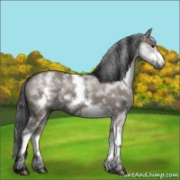 Horse Color:White Spotted Grullo Frame 